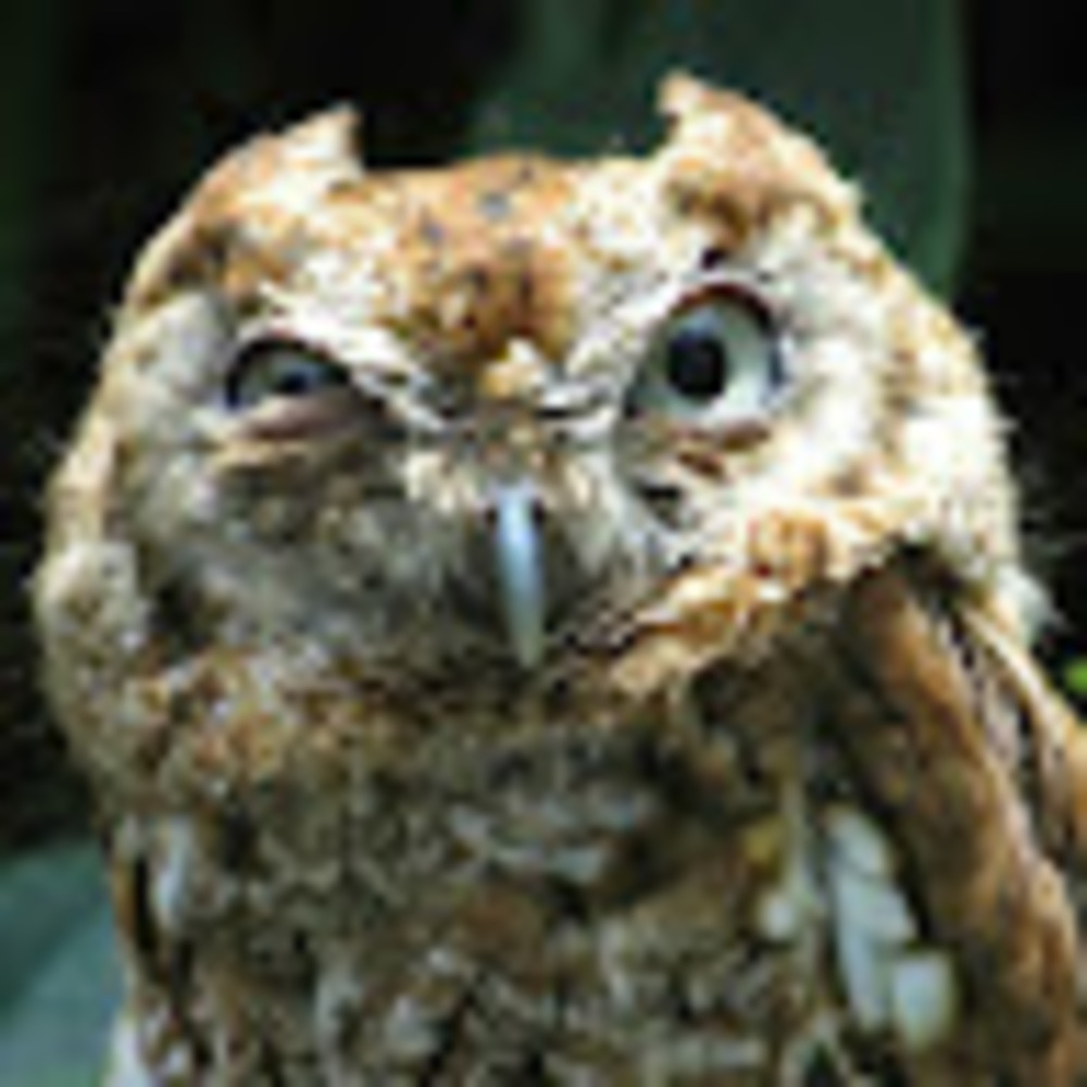 Meet your Posher, Rob